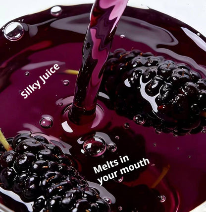 NFC Mulberry Juice: 100% Pure, Zero Water, Zero Additives